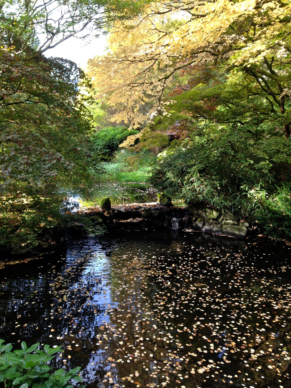 A redeeming feature and my favourite part of the trip.