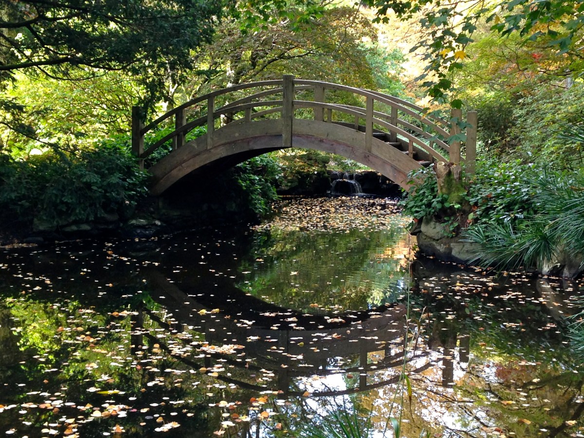 A redeeming feature and my favourite part of the trip.